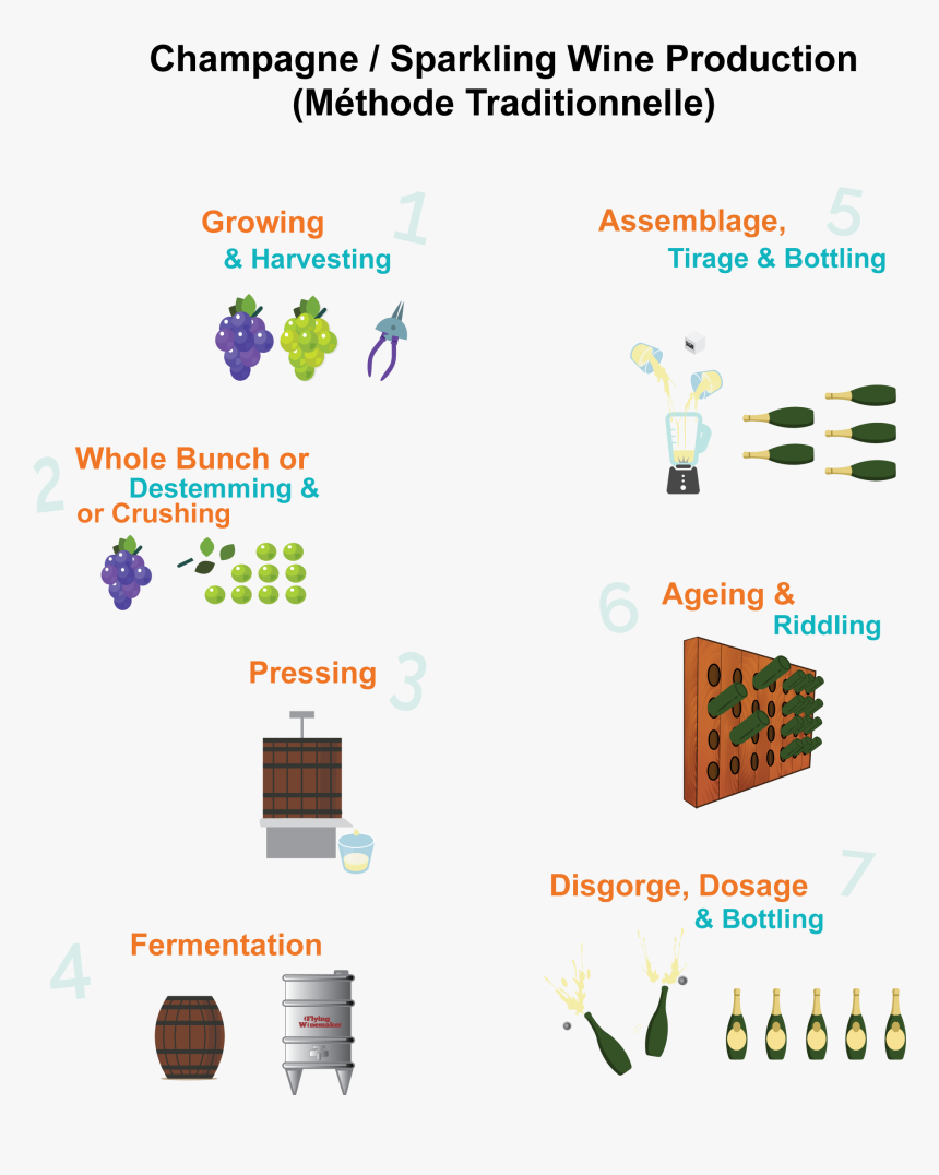 Diagram, HD Png Download, Free Download