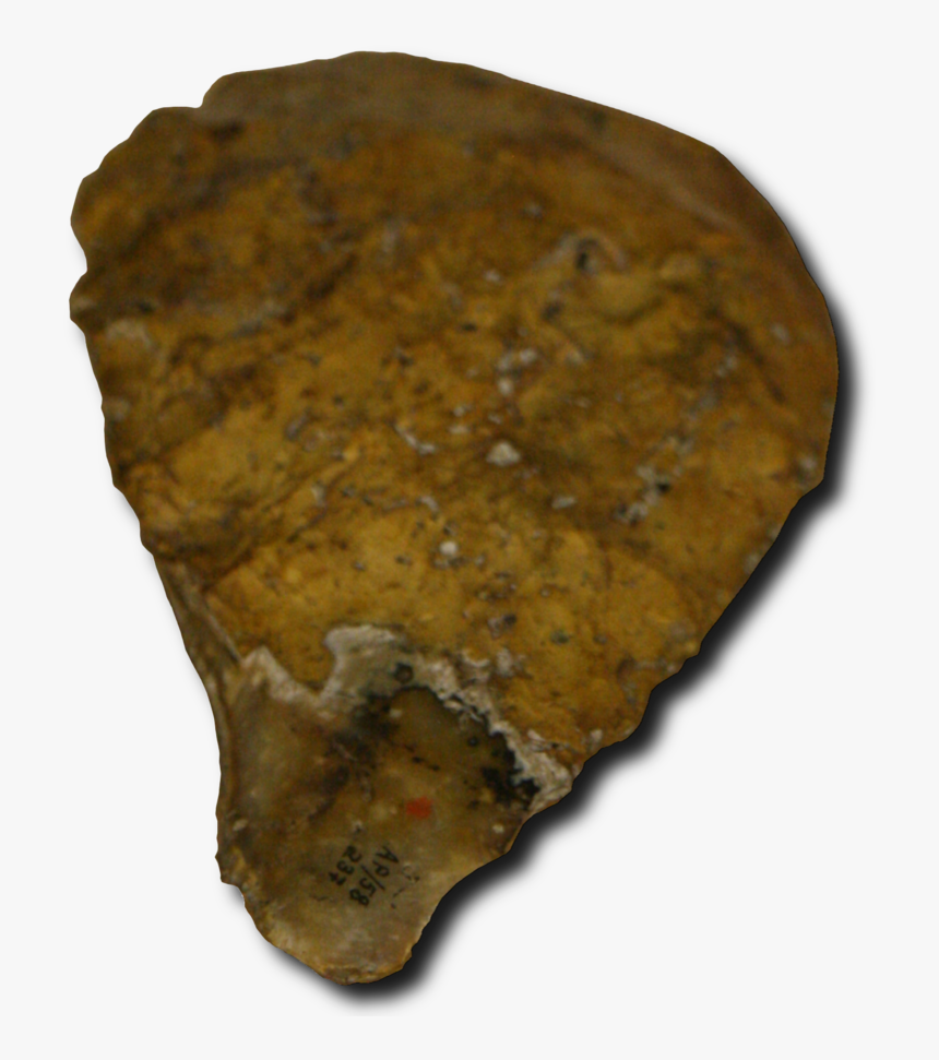 This Stone Biface From The Abri Pataud Rock Shelter - Abri Pataud, HD Png Download, Free Download
