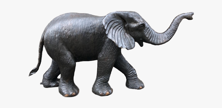 Indian Elephant, HD Png Download, Free Download