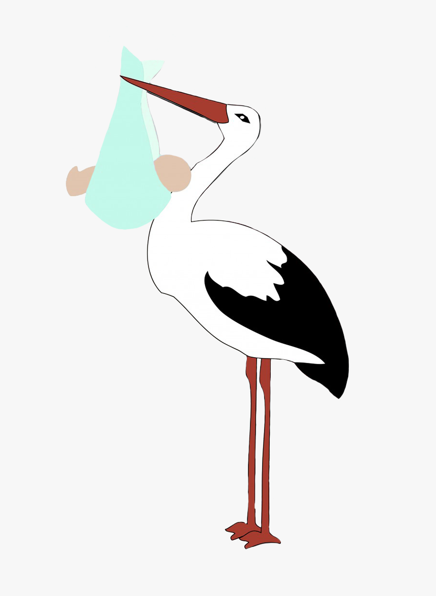 Stork With Baby Boy - Twins Baby Stork, HD Png Download, Free Download