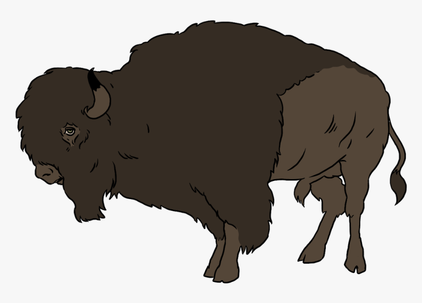 Buffalo, Bright Images - Buffalo Animated Gif Png, Transparent Png, Free Download