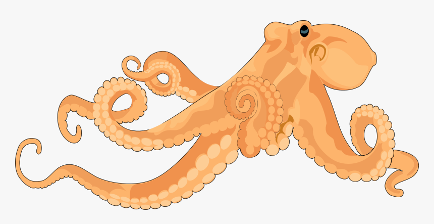 Realistic Octopus Clipart - Octopus Clipart Free, HD Png Download, Free Download