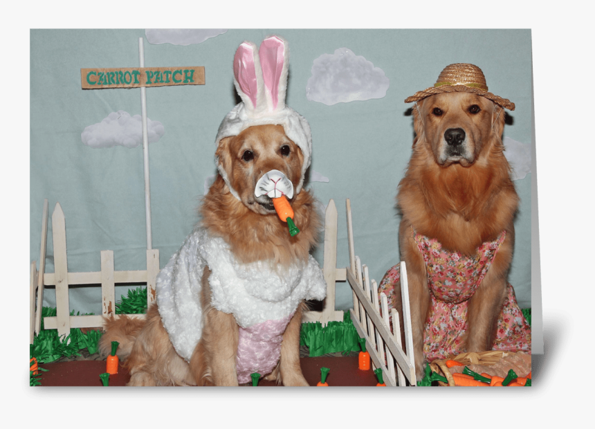 Golden Retriever Hoppy Easter Greeting Card - Cocker Spaniel, HD Png Download, Free Download