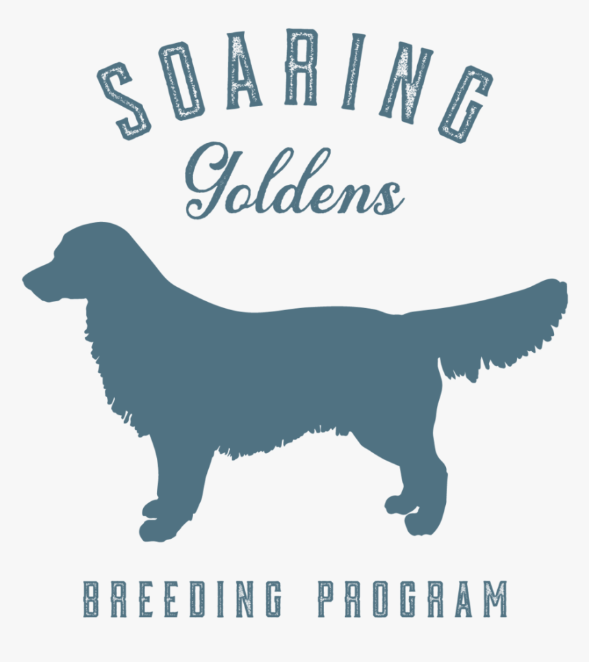 Soaringgoldens Logo - Stephen King, HD Png Download, Free Download