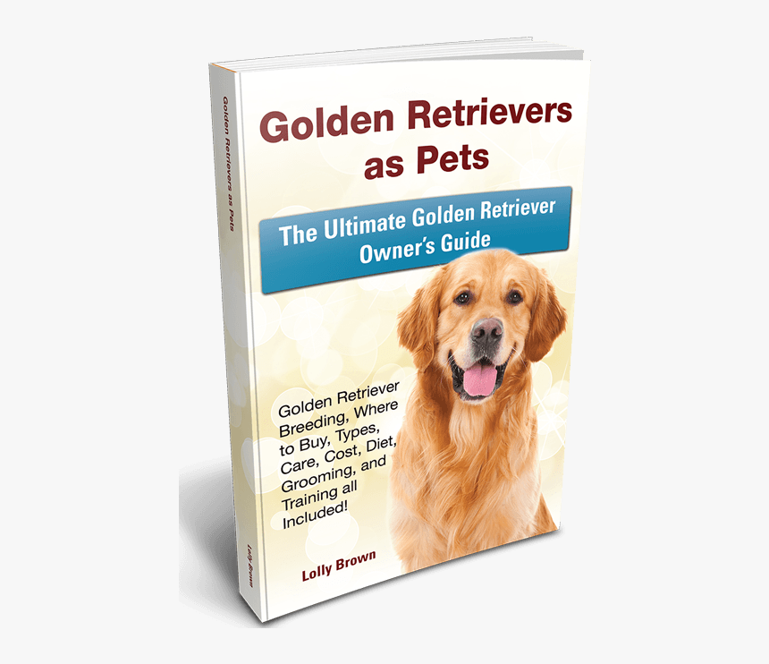 , Table Of Contents, Golden Retrievers - Companion Dog, HD Png Download, Free Download