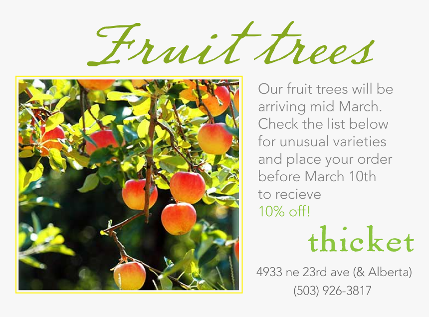 Fruit Trees - Fruitful Tree By Stream, HD Png Download, Free Download