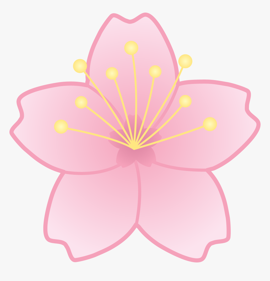 Flower Cherry Blossom Clipart, HD Png Download, Free Download