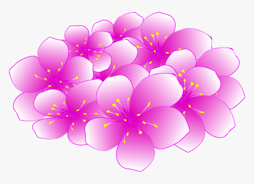 Cherry Blossom, HD Png Download, Free Download