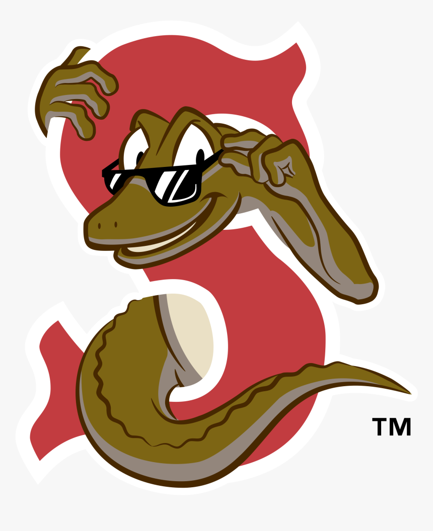 Sarasota Red Sox Logo, HD Png Download, Free Download