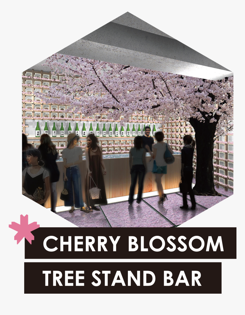 A Stand Bar With A Tall Sakura Tree Rises In The Middle - Poster, HD Png Download, Free Download