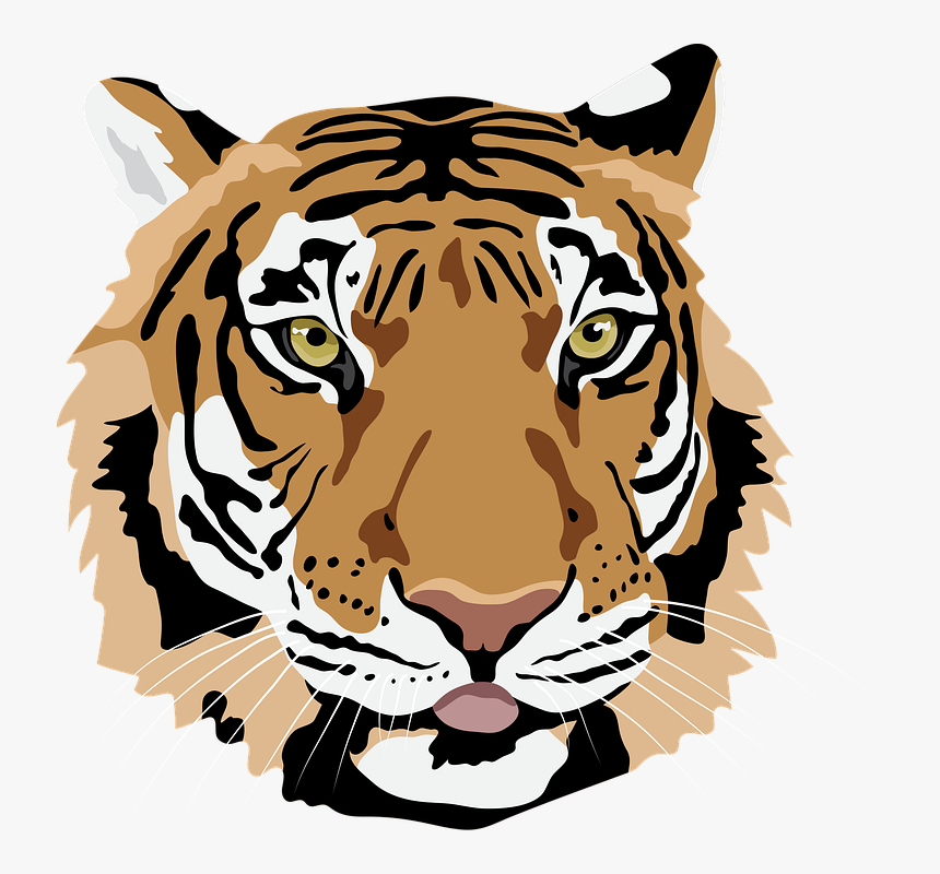 Tete De Tigre Png, Transparent Png, Free Download