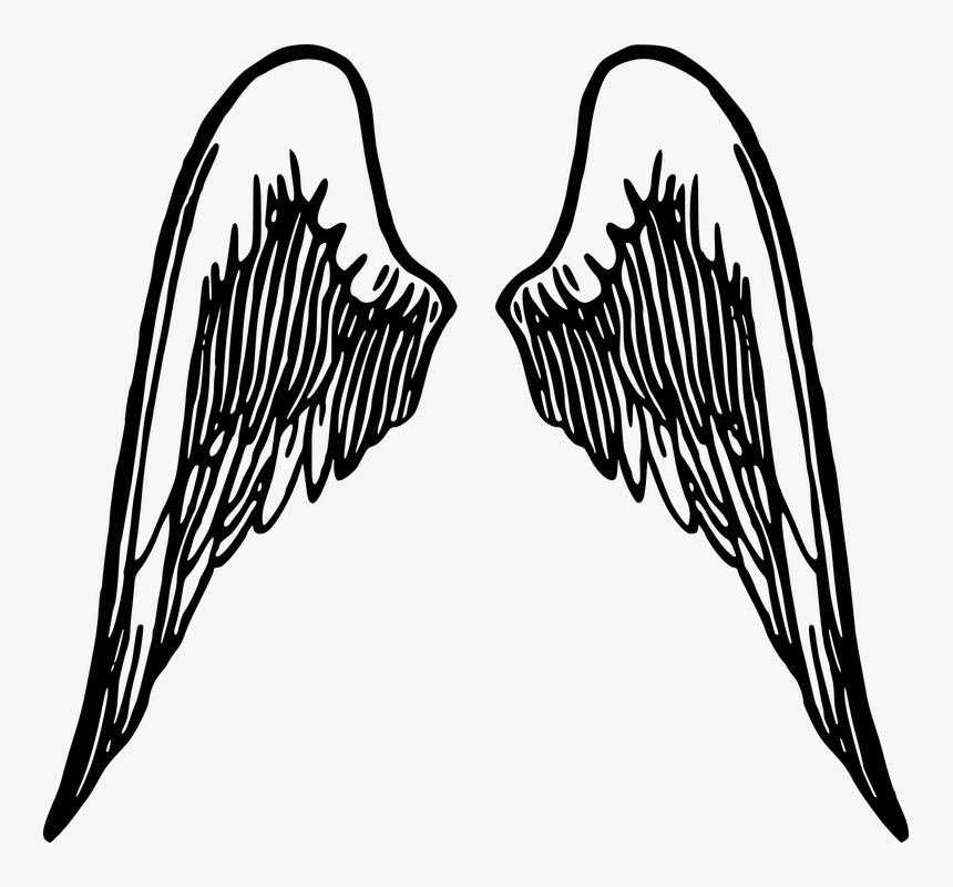 Angel Wings Clip Art Transparent Background, HD Png Download, Free Download