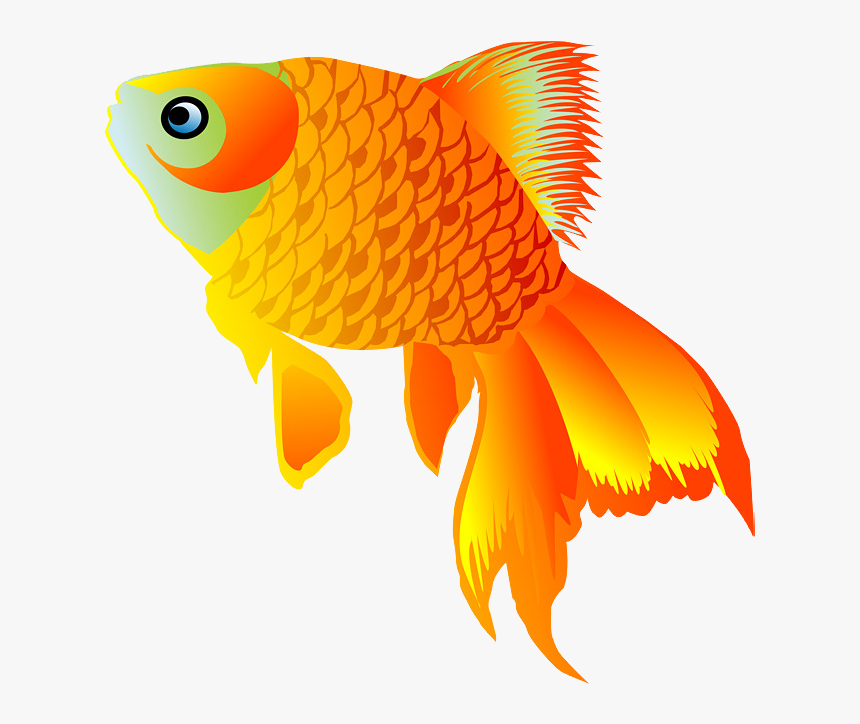 Background Goldfish Transparent - Cartoon Transparent Background Gold Fish, HD Png Download, Free Download