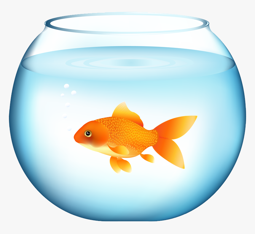 Goldfish Png, Download Png Image With Transparent Background, - Fish In A Bowl Clipart, Png Download, Free Download