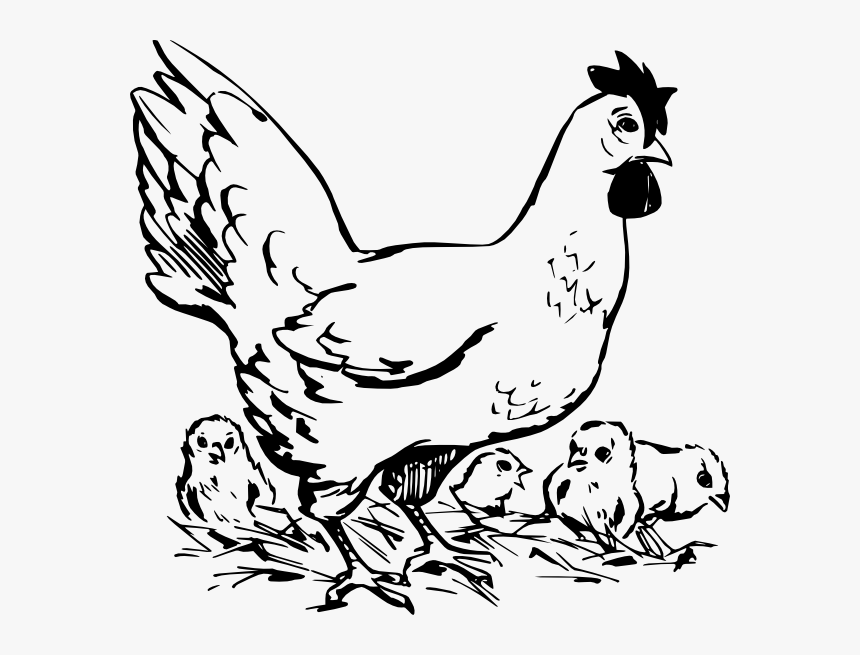 Hen And Chickens In Nest Svg Clip Arts - Chicken And Chicks Black And White, HD Png Download, Free Download