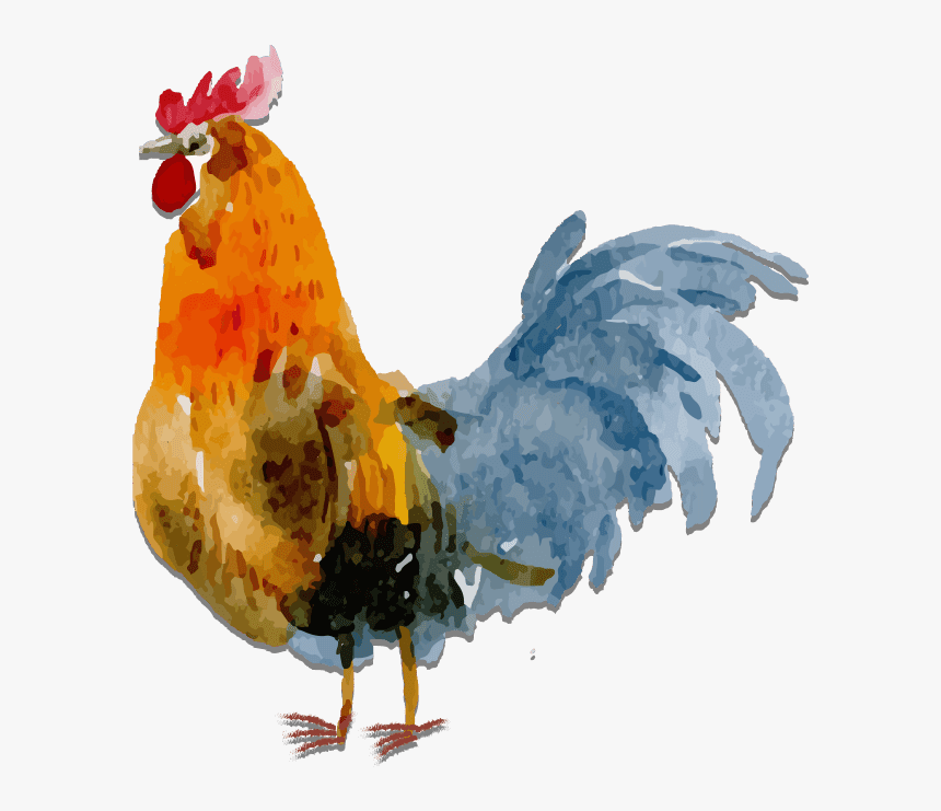 Transparent Cock Clipart - Chicken Watercolor Png, Png Download, Free Download