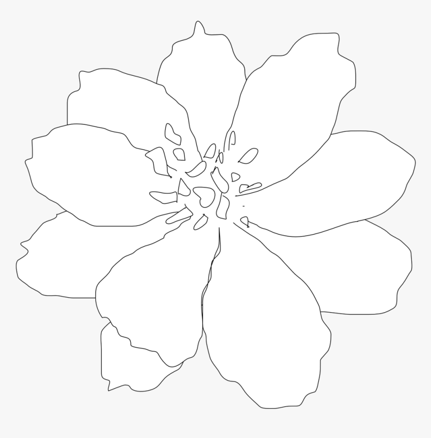 Clip Art Clip Art Line Tattoo Flower - Clematis, HD Png Download, Free Download