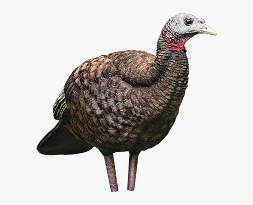 Avian X Turkey Decoys, HD Png Download, Free Download