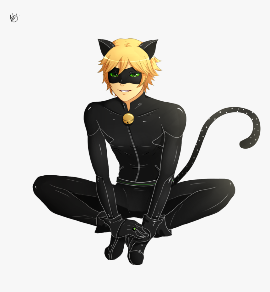 Lady Bug E Cat Noir - Cat Noir Png, Transparent Png, Free Download