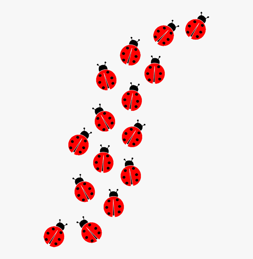 Ladybug Insect Transparent Images - Ladybug Png, Png Download, Free Download