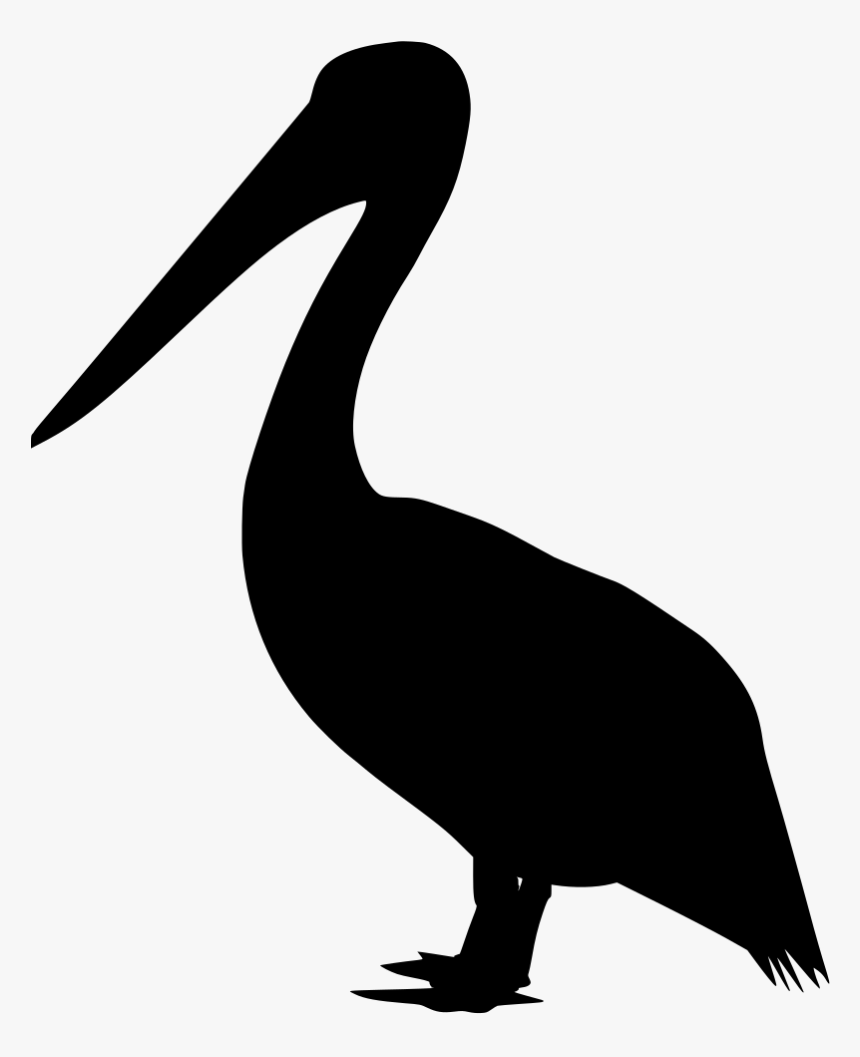 Pelican Svg, HD Png Download, Free Download