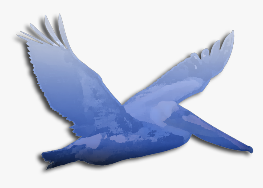 Picture - Swallow, HD Png Download, Free Download