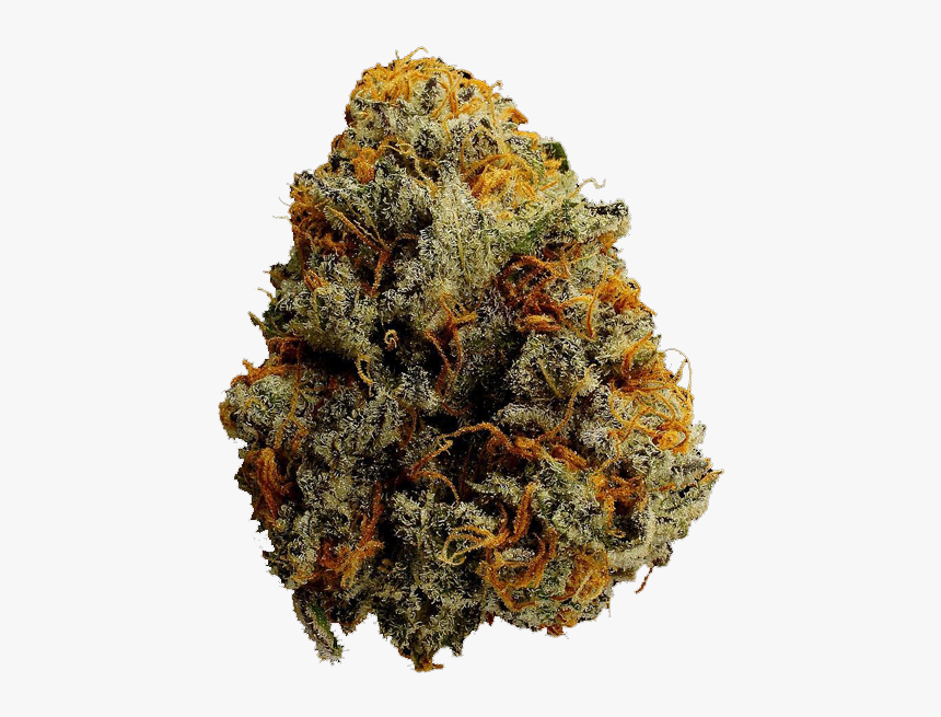 Monarch Grow Koffee Breath Weed - Golden Pineapple Strain, HD Png Download, Free Download