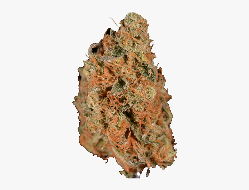 Monarch Grow Agent Orange Weed - Tree, HD Png Download, Free Download