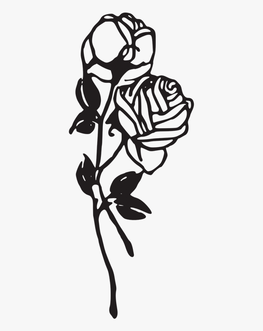 Roses Flowers Floral - Black And White Rose Png, Transparent Png, Free Download