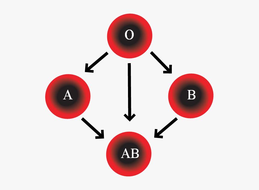 Dayz Wiki - Leone Lattes Blood Types, HD Png Download, Free Download