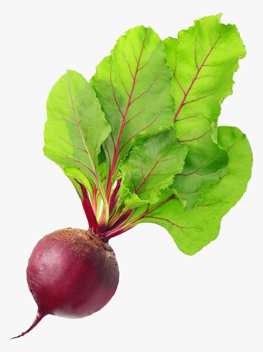 Beet Png Image - Beet Png, Transparent Png, Free Download