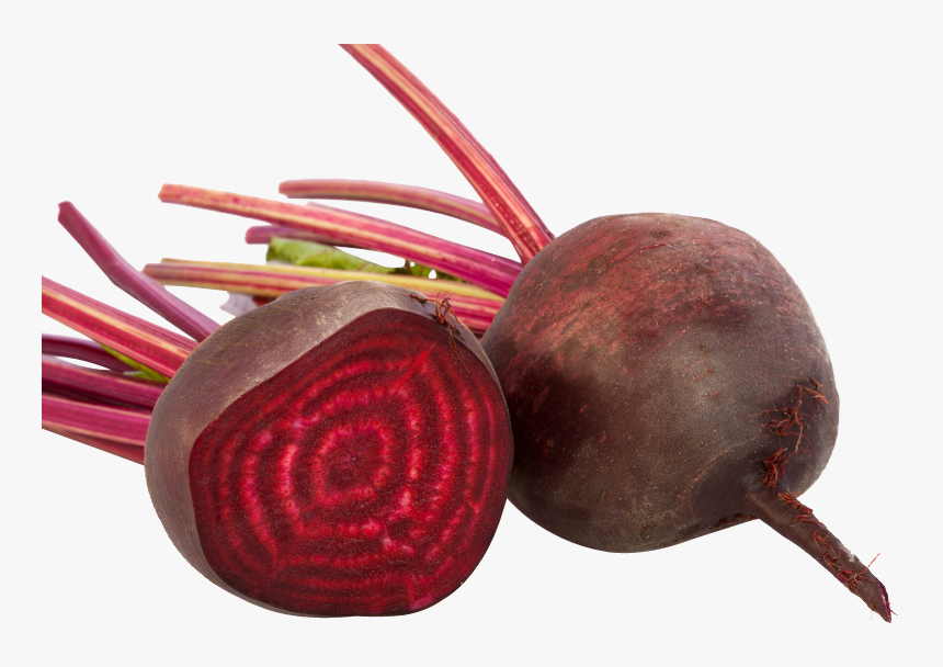 Beet Png - Zoning Effect Of Beetroot, Transparent Png, Free Download