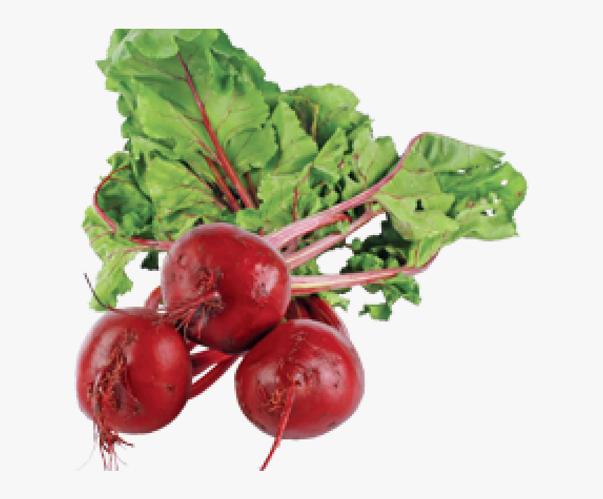 Beetroot Did You Know, HD Png Download, Free Download