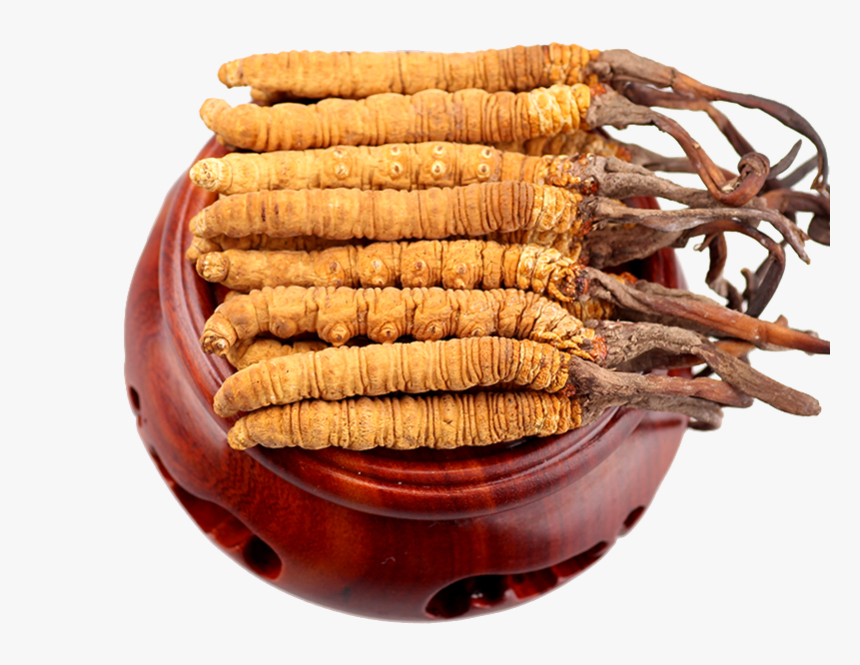 Chinese Food Ingredients Png Image - Cordyceps Png, Transparent Png, Free Download