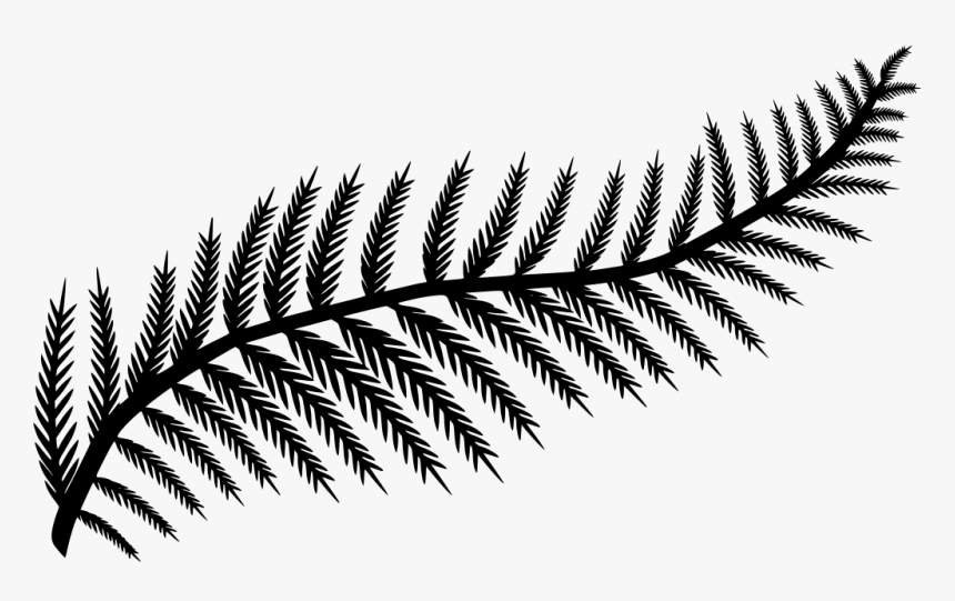 Transparent Background Fern Clipart, HD Png Download, Free Download