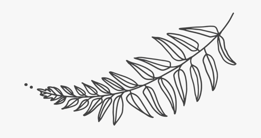 Fern-2, HD Png Download, Free Download