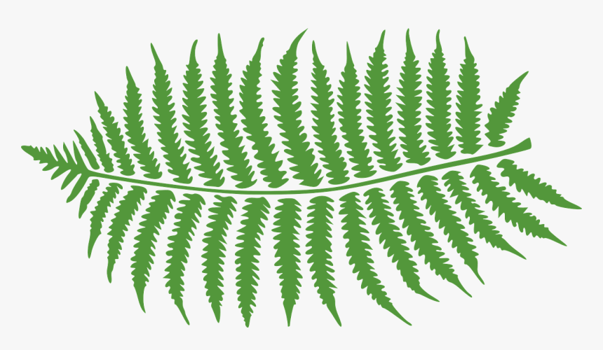 Bracken Fern Png, Transparent Png, Free Download