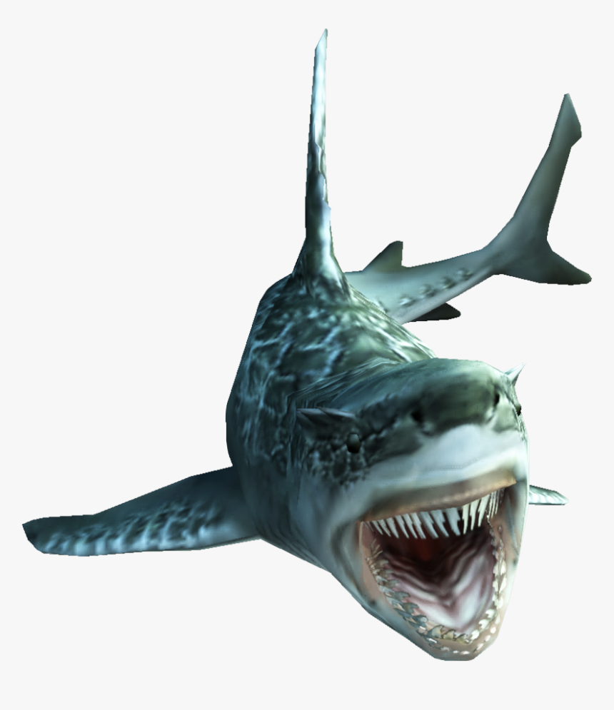 Fishes Png , Png Download - Monster Hunter Shark, Transparent Png, Free Download