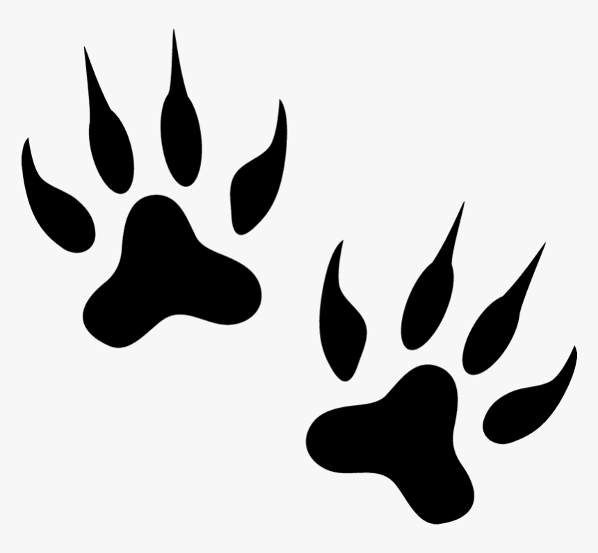 Tiger Tracks Rubber Stamp - Tiger Tracks, HD Png Download, Free Download