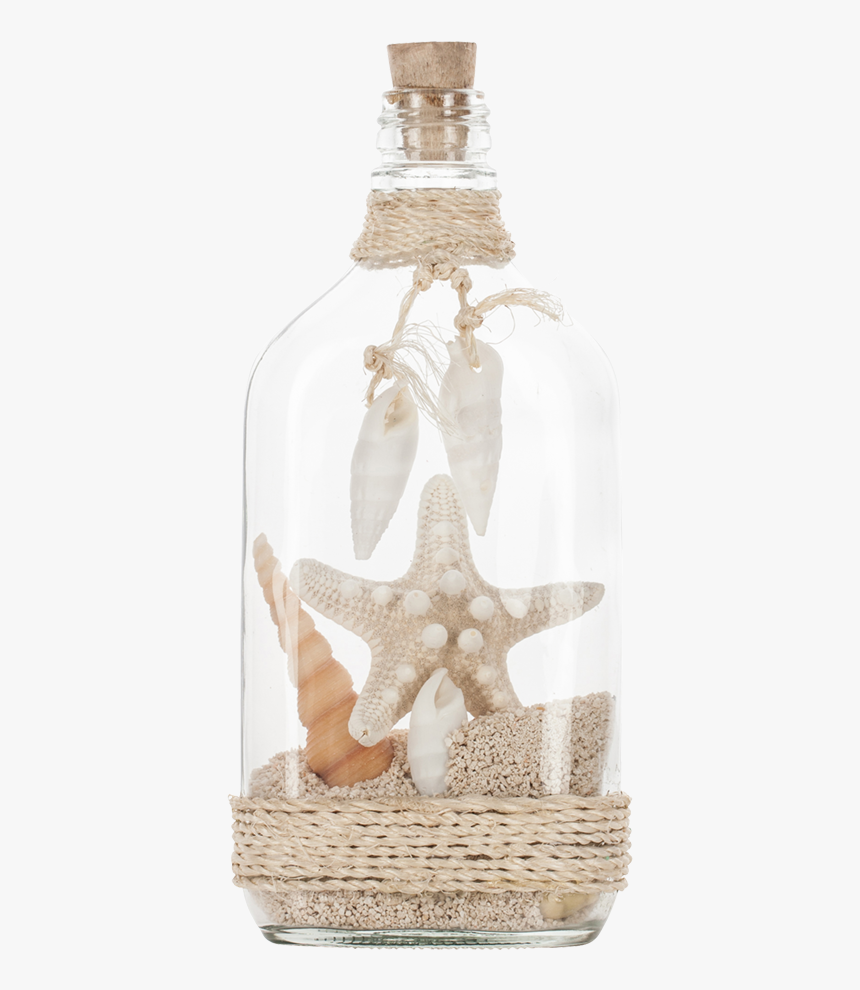 Shells In Bottle & Knobby Star - Glass Bottle, HD Png Download, Free Download
