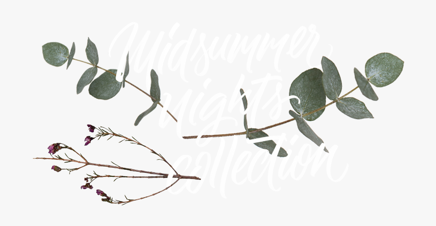 Midsummer Aufmacher Transparent-small - Twig, HD Png Download, Free Download