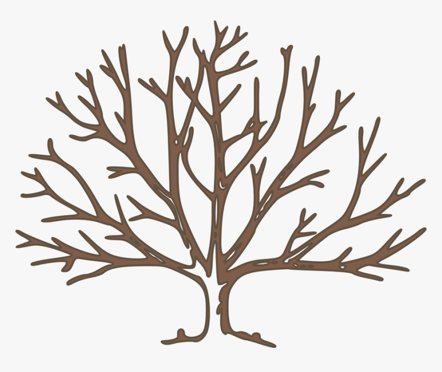 Thumb Image - Bare Tree Clipart, HD Png Download, Free Download