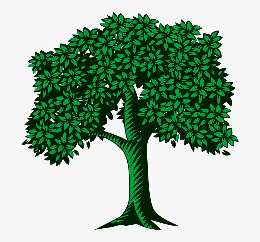 Background Graphics Tree For Family Tree, HD Png Download, Free Download