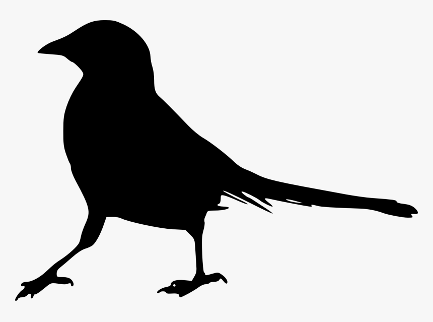 Bird Silhouette Clip Art - Bird Silhouette Transparent Background, HD Png Download, Free Download