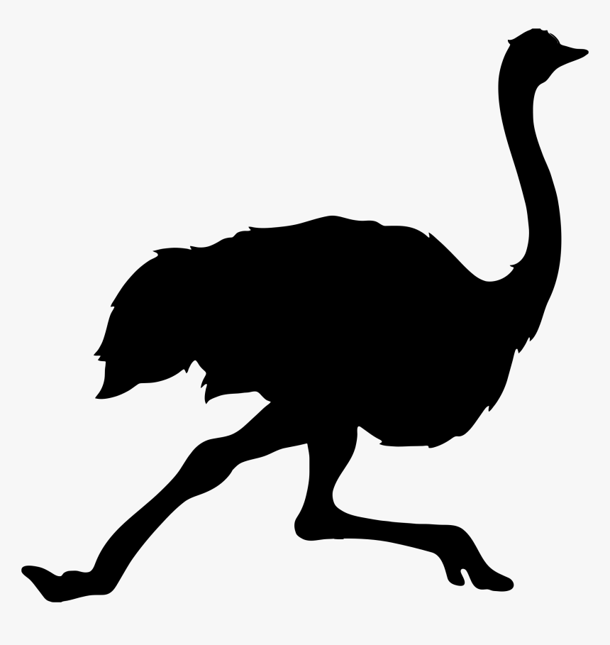 Ostrich Png - Running Ostrich Silhouette, Transparent Png, Free Download