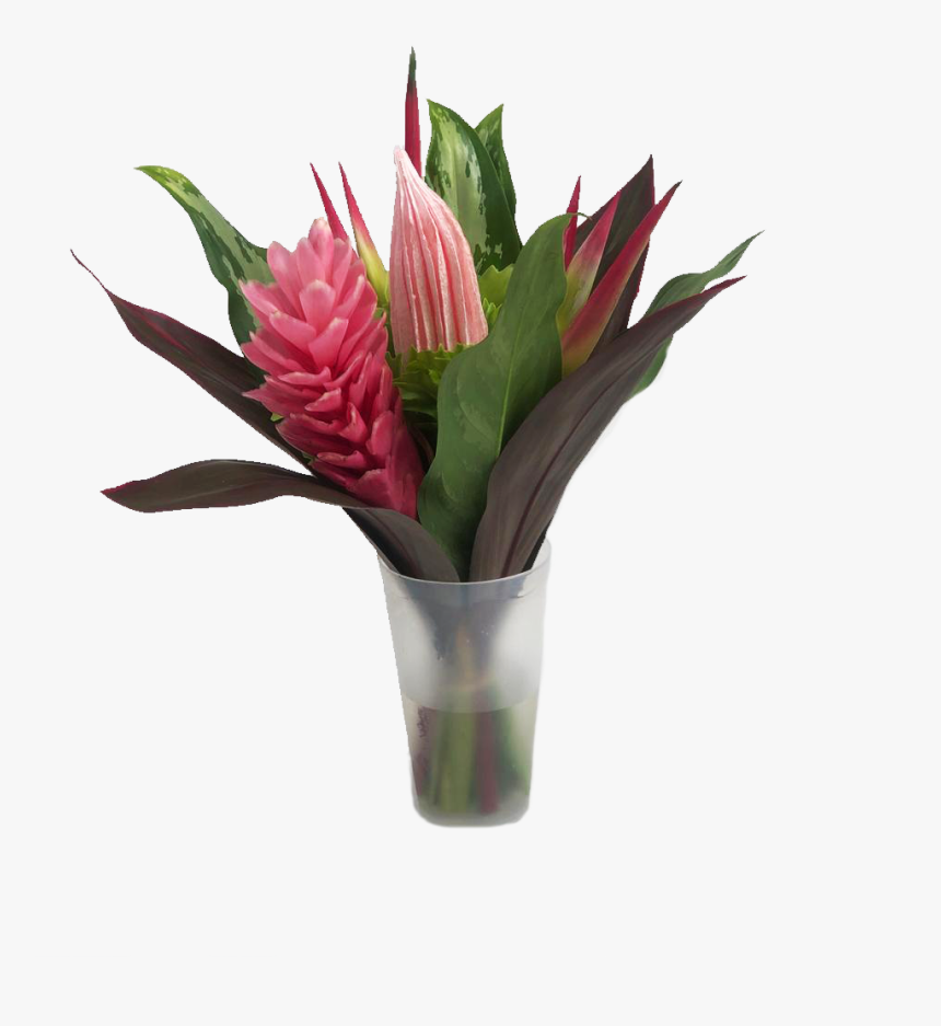 Fun Miracle Mini Tropical Centerpieces - Giant Protea, HD Png Download, Free Download