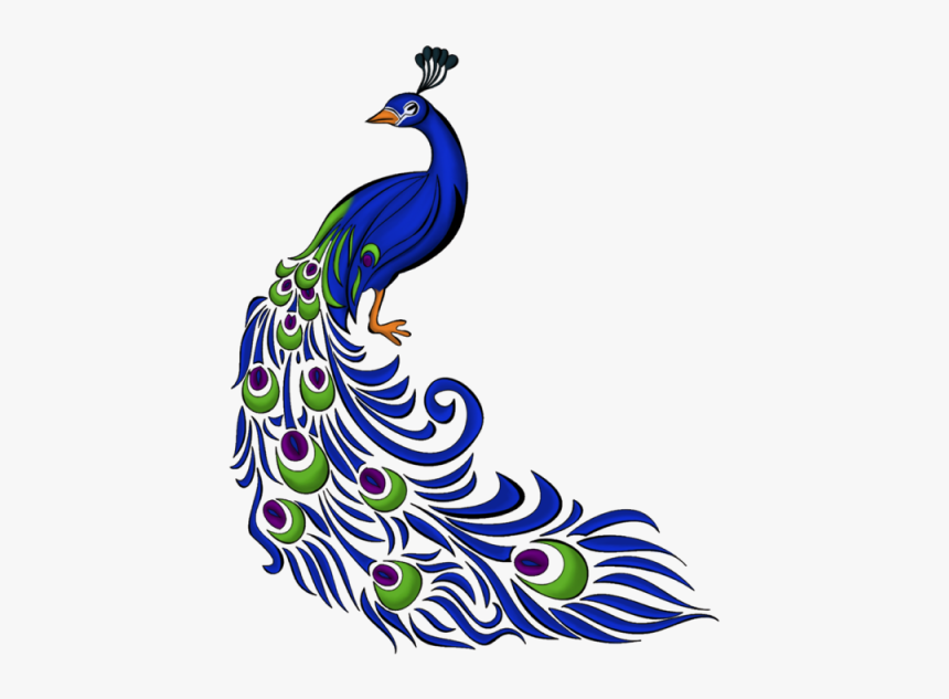 Right Side Blue Vector - Free Hand Drawing Of Peacock, HD Png Download, Free Download