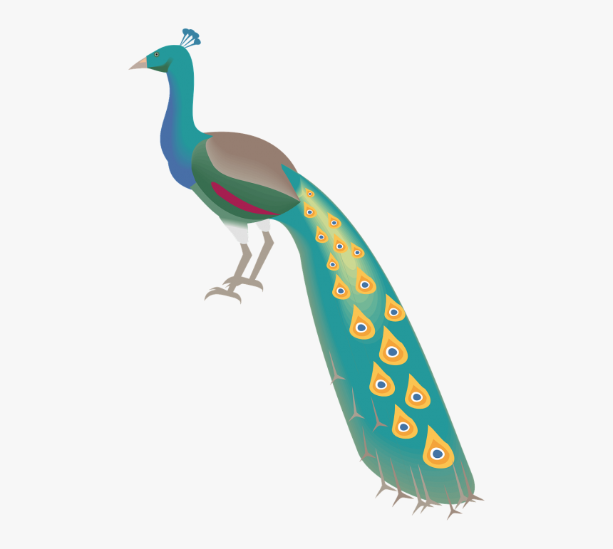 Peacock Peafowl Bird, HD Png Download, Free Download