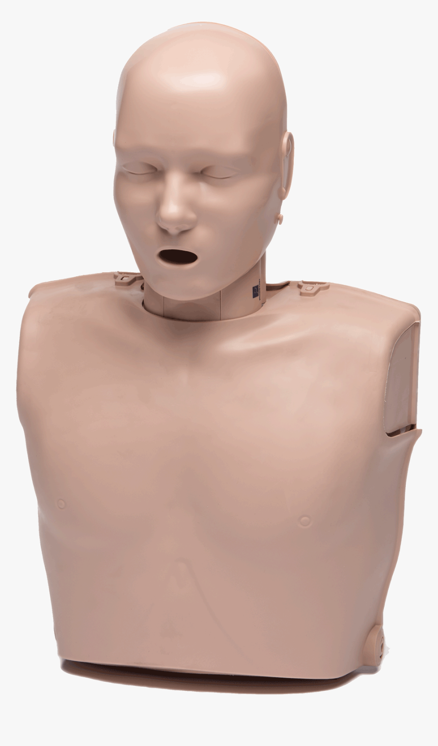 Bust, HD Png Download, Free Download