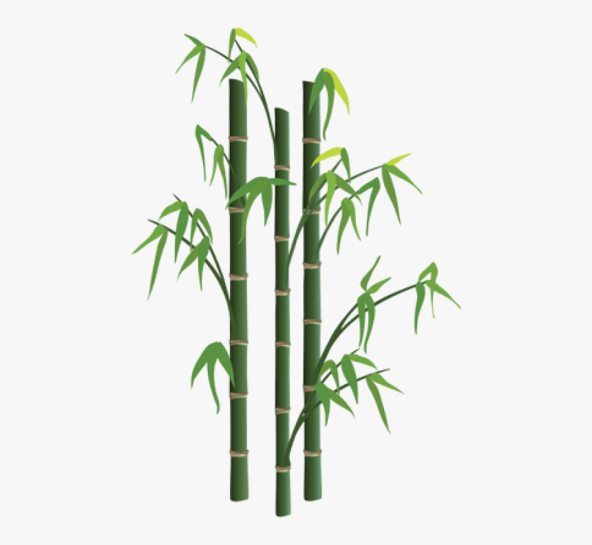 Png Free Images Toppng Transparent Background - Transparent Background Bamboo Png, Png Download, Free Download